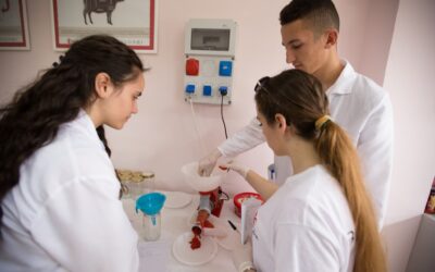 Lajmet e fundit 1 I.N.V.E.S.T. Projekt i Ri për Nxitjen e Punësimit dhe Zhvillimit të Aftësive për të Rinjtë në Shqipëri