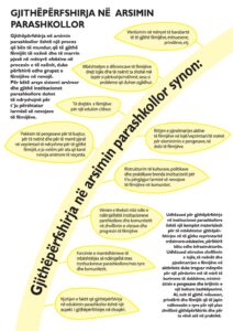 Raporte dhe Publikime 5 Inclusion in Preschool Education pdf